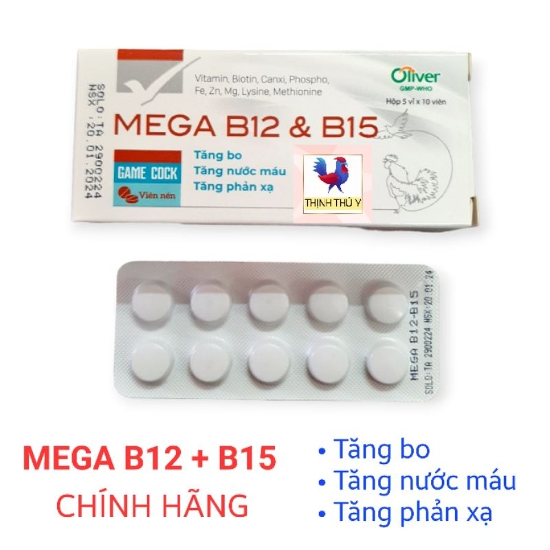 MEGA B12 B15 (1 vỉ 10 viên) - Vitamin B12 + B15 chính hãng cho chiến kê