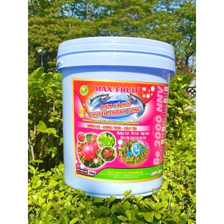 Phân bón đạm cá hồi cho thanh long cứng dây, khỏe rễ, lớn trái, đẹp trái, bóng trái xô 20kg