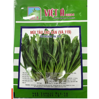 Hạt giống mùi tầu - Hạt giống ngò gai