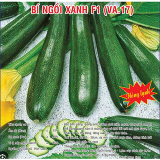 Hạt giống bí ngồi xanh, bí ngồi vàng - Hạt giống bí ngòi