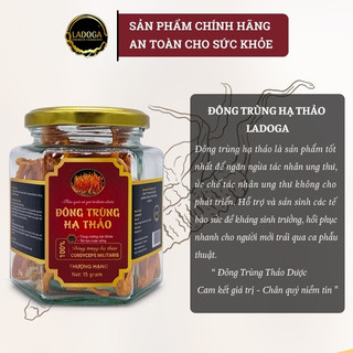 Đông trùng hạ thảo sấy thăng hoa LADOGA đóng hộp 10gr và 15gr - tốt cho sức khỏe