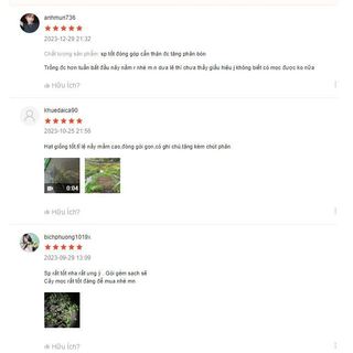Hạt giống ớt siêu cay