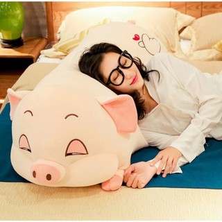 Gấu bông Heo híp, thú nhồi bông heo mắt lim dim buồn ngủ