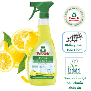 Bình xịt vệ sinh thiết bị inox hữu cơ Frosch - 500ml - NK Đức