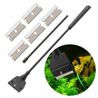 Cây cạo rêu bể cá tiện lợi dọn vệ sinh bể cá cảnh nhanh chóng