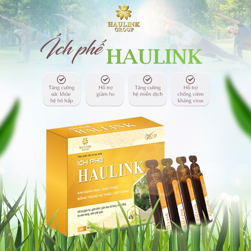 ÍCH PHẾ HAULINK GIẢM NHANH TRIỆU CHỨNG ĐAU RÁT HỌNG, TIÊU ĐỜM, HO VÀ VIÊM PHẾ QUẢN ĐẠT CHUẨN GMP