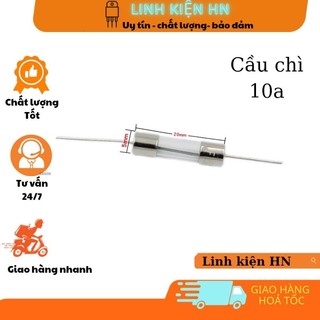 Cầu chì thủy tinh 10a 250vac 5x20mm chân cắm