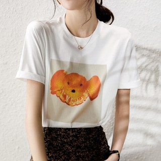 Áo thun đẹp cho nữ phom vừa màu Trắng, In QUẢ CAM, Chất cotton 100% co giãn 4 chiều thoáng mát, vải mềm mịn