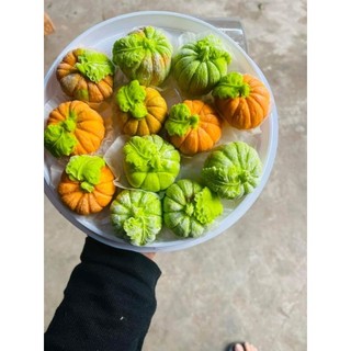 khuôn trái bí 6cm , lá bí