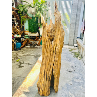 Lũa gỗ  setup thuỷ sinh(15kg) - decor tiểu cảnh- decor trụ đèn - ship HOẢ TỐC TPHCM