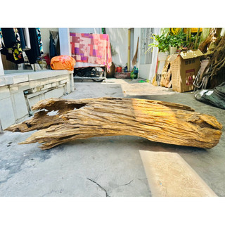 Lũa gỗ setup thuỷ sinh - decor tiểu cảnh- decor trụ đèn - ship hoả tốc tphcm