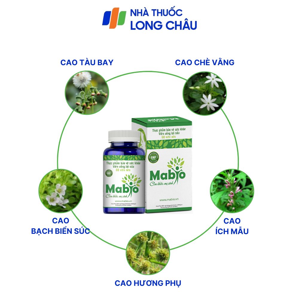 Mabio Lợi Sữa Dành Cho Các Mẹ Sau Sinh Bị Mất Sữa Ít Sữa Combo 6 Hộp Lợi Sữa Mabio Tặng 1 Lợi Sữa Và 1 Tinh Dầu Tràm