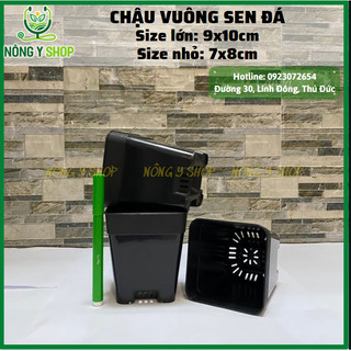 Chậu vuông nhỏ, chậu vuông đen,  chậu sen đá, xương rồng, chậu ươm cây, nhiều size