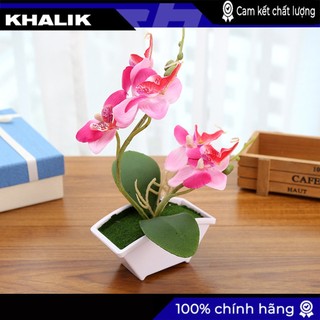 Chậu hoa giả HF031 Màu Hồng - Hoa lan hồ điệp chậu thuyền Trang trí nhà hàng nghệ thuật