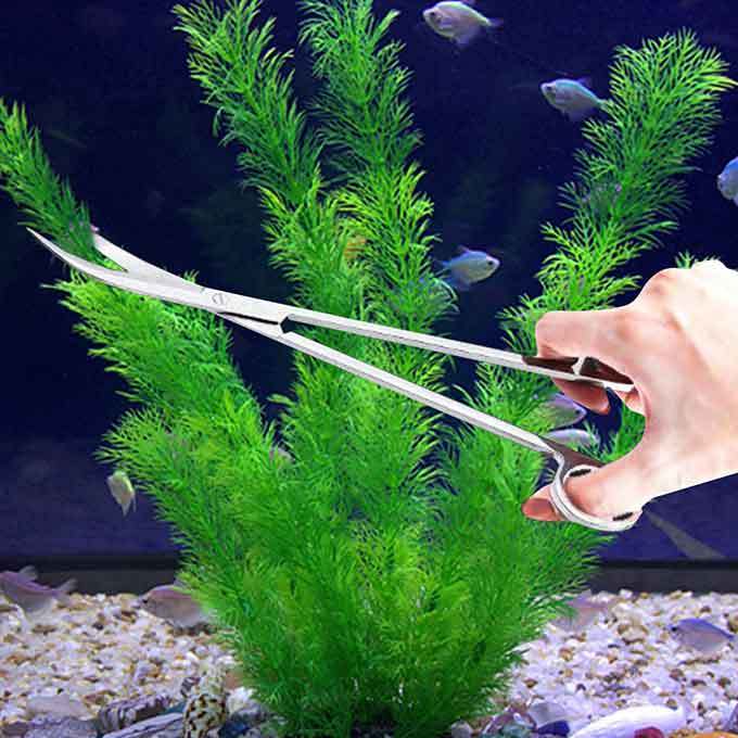 Kéo cắt tỉa cây thủy sinh