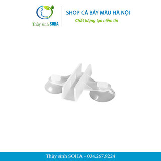 Hít kính cố định vách ngăn bể cá | Phụ kiện thủy sinh