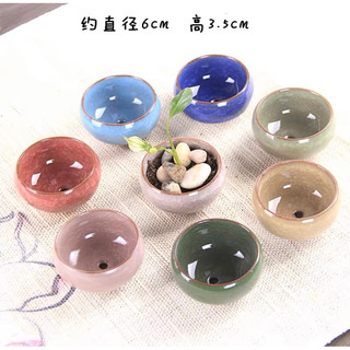 Chậu trồng cây mini
