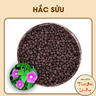 Hắc sửu 500g, khiên ngưu, hạt bìm bìm sạch - Lãn Ông