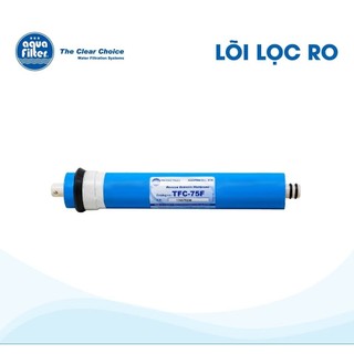 Lõi lọc nước RO của AQUAFILTER 10inch - NHẬP KHẨU CHÂU ÂU 100%