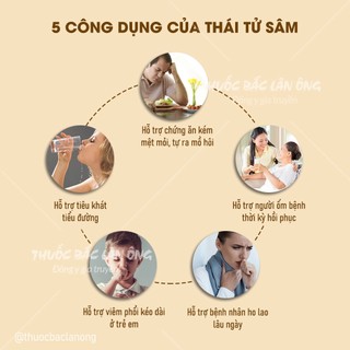 Sâm đất (Thái tử sâm) 100g - Thuốc bắc lãn ông
