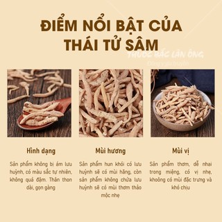 Sâm đất (Thái tử sâm) 100g - Thuốc bắc lãn ông