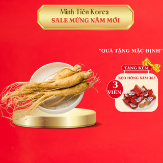 Nhân sâm tươi hàn quốc rửa sạch tráng rượu nguyên củ thân dài, tăng cường sức khoẻ