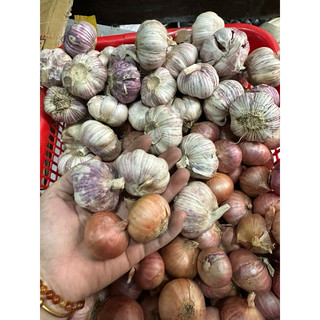 1 Kg hành tỏi củ to - Hành cô đơn, tỏi củ to chắc củ