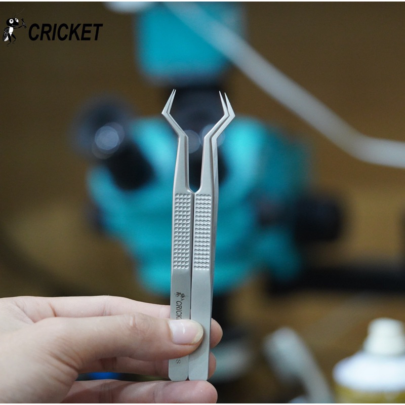 Bank Cricket