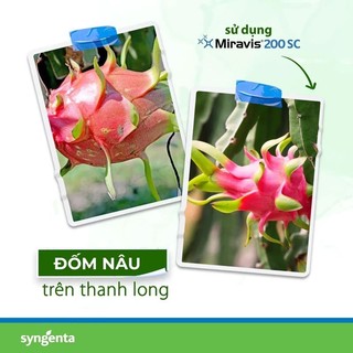 Thuốc trừ bệnh Miravis 100ml - Sygenta