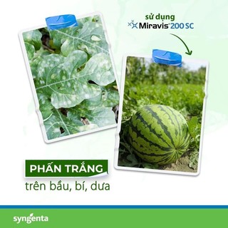 Thuốc trừ bệnh Miravis 100ml - Sygenta