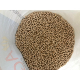 1 kg Đậu gà sạch
