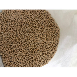 1 kg Đậu gà sạch
