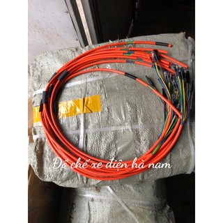 Dây động cơ xe điện 1000w 2.5 vàng