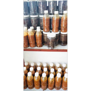 Mắm mực nguyên con đặc sản Bình Định