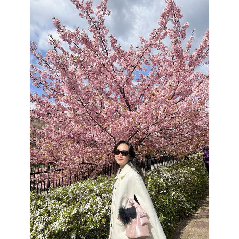 Túi nữ Chow bag Hérisson màu hồng nhũ  + nơ tháo rời | BigBuy360 - bigbuy360.vn