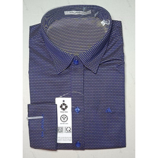 Sơ mi An phước nữ tay dài chuẩn dáng công sở SMNAP145