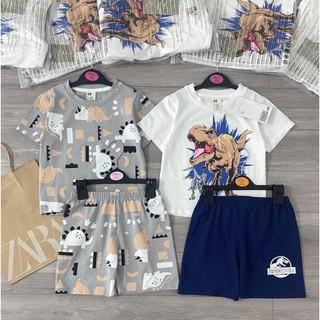 Set 2 bộ cotton bé trai 100-150