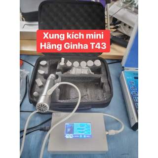 Máy Xung Kích Mini Ginha T43