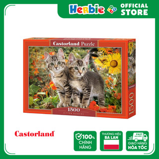 Đồ Chơi Xếp Hình Puzzle 1500 Mảnh CASTORLAND Kitten Buddies Jigsaw Puzzle C-151899 - Herbie Toys