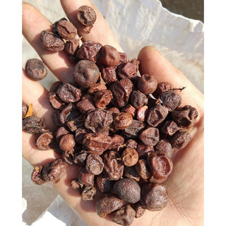 MẮC MẬT KHÔ LẠNG SƠN( QUẢ MẮC MẬT KHÔ) 100g