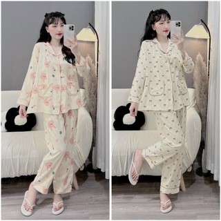 Bộ Đũi Sau Sinh Dài Tay Quần Dài Khóa Ti Hình Dễ Thương B134