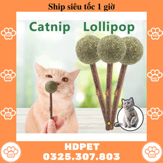 Que cỏ bạc hà - que catnip cho mèo