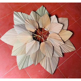 Combo 10 lá cọ khô tự nhiên trang trí 45cm