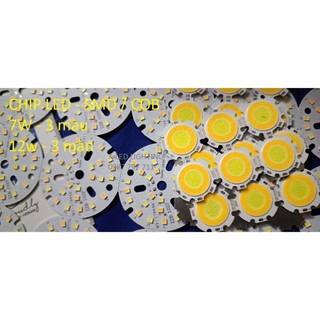 Chip led, hạt led smd, cob- 7w, 9w, 12w. 1 màu và 3 màu.