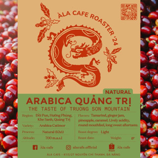 (87,67 CQI) Arabica Natural Quảng Trị mùa 2024 rang Light Medium - Giải Nhất Vietnam Amazing Cup 2021- 2023-2024