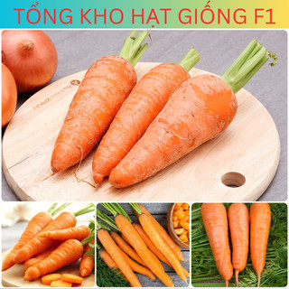 Hạt giống củ cà rốt cao sản 5gr