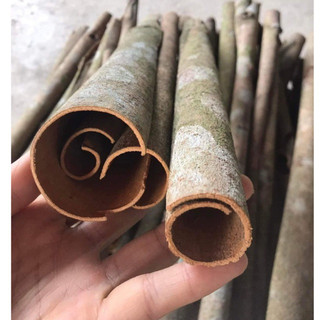 VỎ QUẾ KHÔ 500g - QUẾ THANH YÊN BÁI