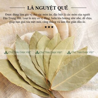 Lá nguyệt quế 1kg, lá bay leaves và 20 loại gia vị hương thảo, húng quế, kinh giới, mùi tây, thì là
