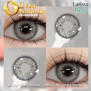 Mẫu lens NEPTUNE/dna GRAY 0 độ cận