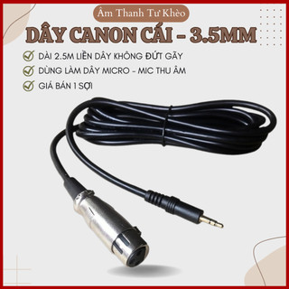 Dây Micro Canon Cái (XLR) Ra 3.5mm Dài 2.5m